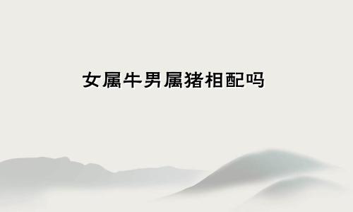 女属牛男属猪相配吗