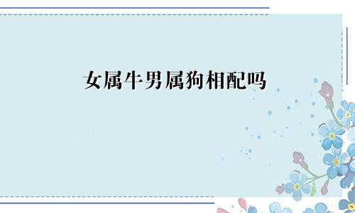 女属牛男属狗相配吗