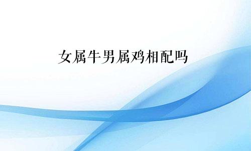 女属牛男属鸡相配吗