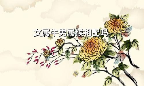 女属牛男属猴相配吗