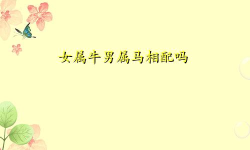 女属牛男属马相配吗