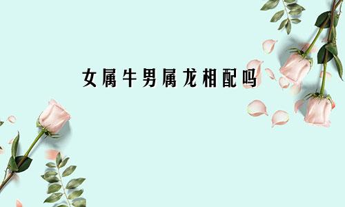 女属牛男属龙相配吗