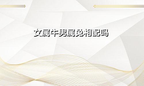 女属牛男属兔相配吗