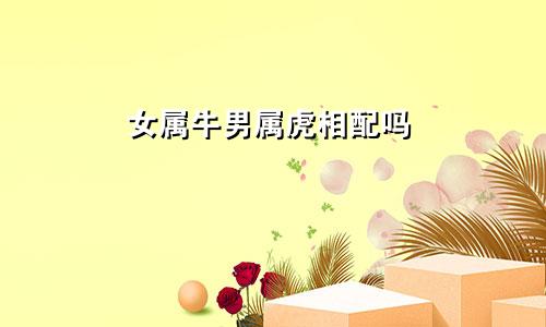 女属牛男属虎相配吗
