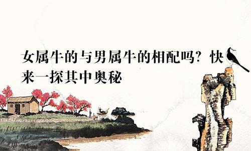 女属牛的与男属牛的相配吗？快来一探其中奥秘