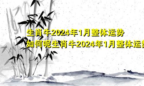 生肖牛2024年1月整体运势如何呢生肖牛2024年1月整体运势如何样