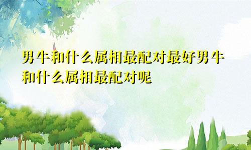 男牛和什么属相最配对最好男牛和什么属相最配对呢