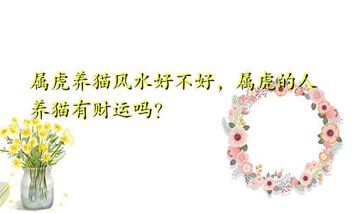 属虎养猫风水好不好，属虎的人养猫有财运吗？