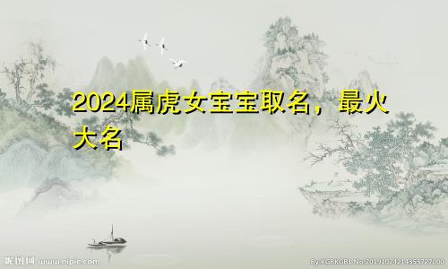2024属虎女宝宝取名，最火大名