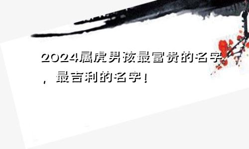2024属虎男孩最富贵的名字，最吉利的名字！