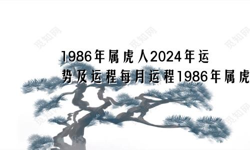 1986年属虎人2024年运势及运程每月运程1986年属虎人2024年运势及运程女