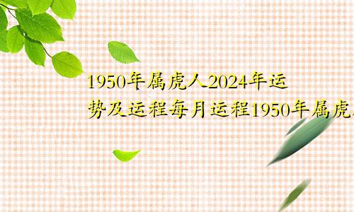 1950年属虎人2024年运势及运程每月运程1950年属虎人2024年运势及运程如何