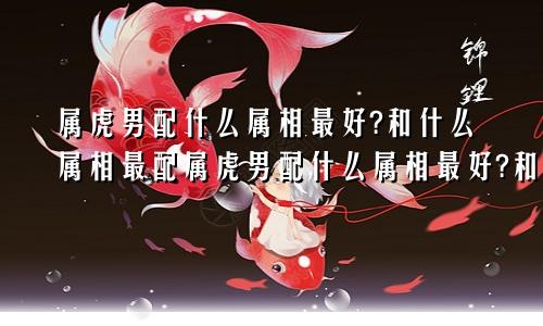 属虎男配什么属相最好?和什么属相最配属虎男配什么属相最好?和什么属相最配女