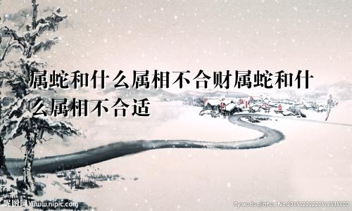 属蛇和什么属相不合财属蛇和什么属相不合适