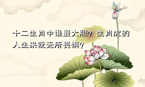 十二生肖中谁最大胆？生肖虎的人生来就无所畏惧？