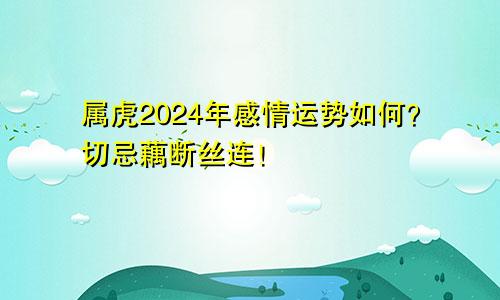 属虎2024年感情运势如何？切忌藕断丝连！
