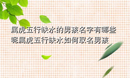属虎五行缺水的男孩名字有哪些呢属虎五行缺水如何取名男孩