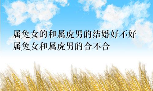 属兔女的和属虎男的结婚好不好属兔女和属虎男的合不合