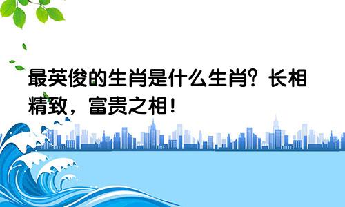 最英俊的生肖是什么生肖？长相精致，富贵之相！