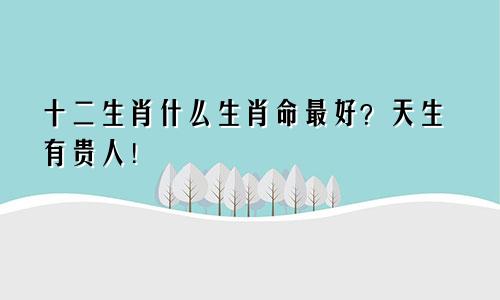 十二生肖什么生肖命最好？天生有贵人！