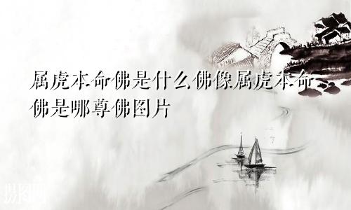 属虎本命佛是什么佛像属虎本命佛是哪尊佛图片