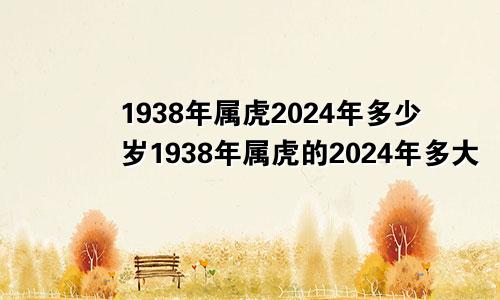 1938年属虎2024年多少岁1938年属虎的2024年多大