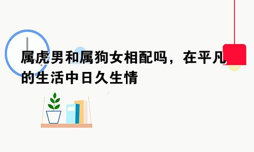 属虎男和属狗女相配吗，在平凡的生活中日久生情