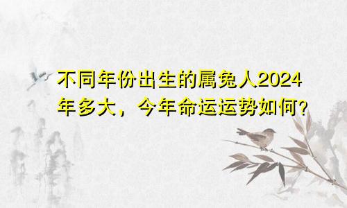 不同年份出生的属兔人2024年多大，今年命运运势如何？