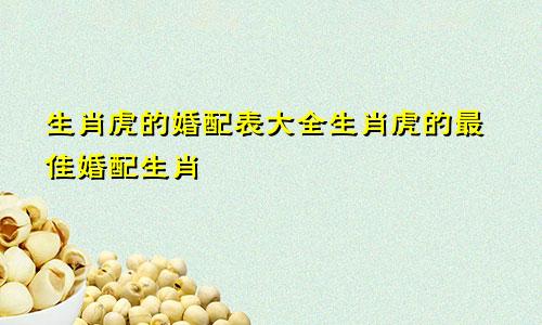 生肖虎的婚配表大全生肖虎的最佳婚配生肖