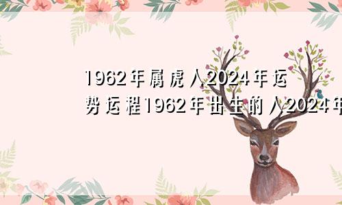 1962年属虎人2024年运势运程1962年出生的人2024年的运