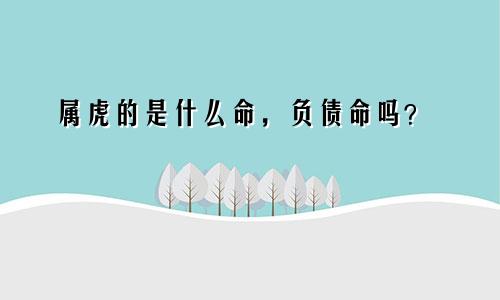 属虎的是什么命，负债命吗？