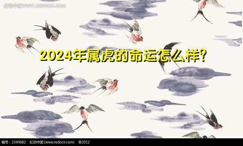 2024年属虎的命运怎么样？