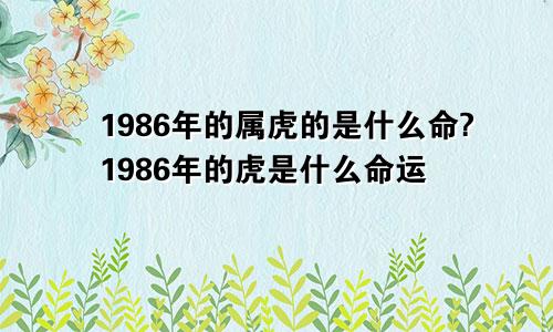 1986年的属虎的是什么命?1986年的虎是什么命运