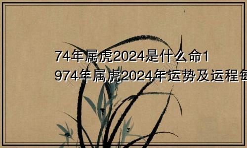 74年属虎2024是什么命1974年属虎2024年运势及运程每月运程