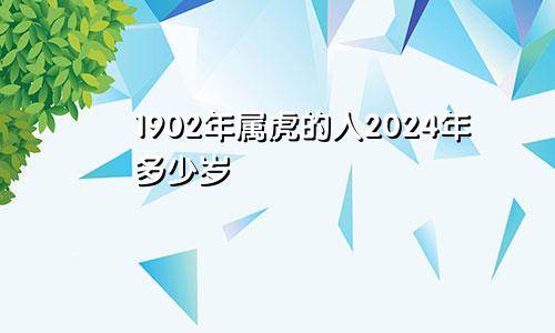 1902年属虎的人2024年多少岁