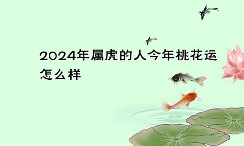 2024年属虎的人今年桃花运怎么样