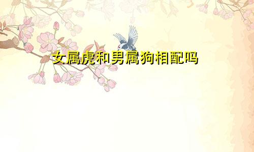 女属虎和男属狗相配吗