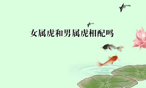 女属虎和男属虎相配吗