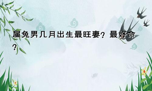 属兔男几月出生最旺妻？最好命？