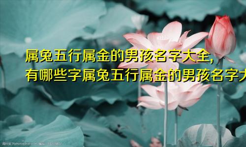 属兔五行属金的男孩名字大全,有哪些字属兔五行属金的男孩名字大全,有哪些