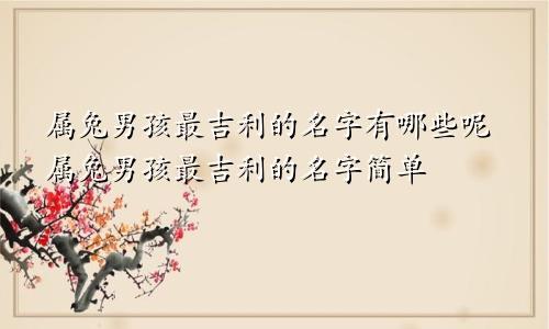 属兔男孩最吉利的名字有哪些呢属兔男孩最吉利的名字简单