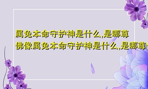 属兔本命守护神是什么,是哪尊佛像属兔本命守护神是什么,是哪尊佛呢