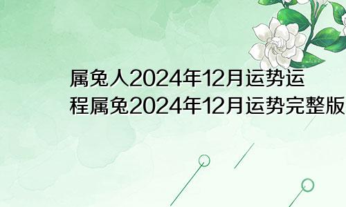 属兔人2024年12月运势运程属兔2024年12月运势完整版