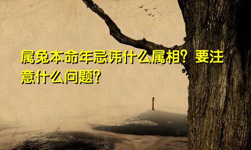 属兔本命年忌讳什么属相？要注意什么问题？