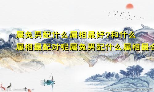 属兔男配什么属相最好?和什么属相最配对呢属兔男配什么属相最合适
