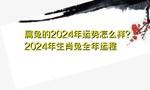 属兔的2024年运势怎么样？2024年生肖兔全年运程
