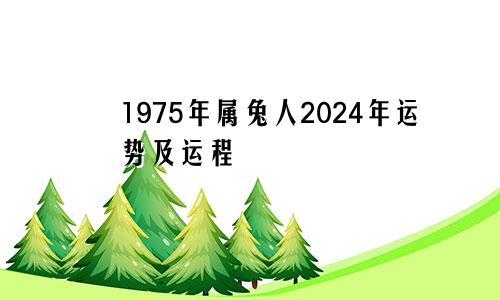 1975年属兔人2024年运势及运程