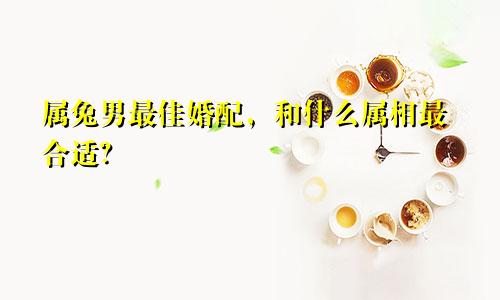属兔男最佳婚配，和什么属相最合适？