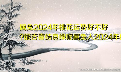 属兔2024年桃花运势好不好?能否喜结良缘呢属兔人2024年桃花运势