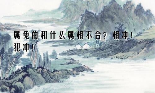 属兔的和什么属相不合？相冲！犯冲！